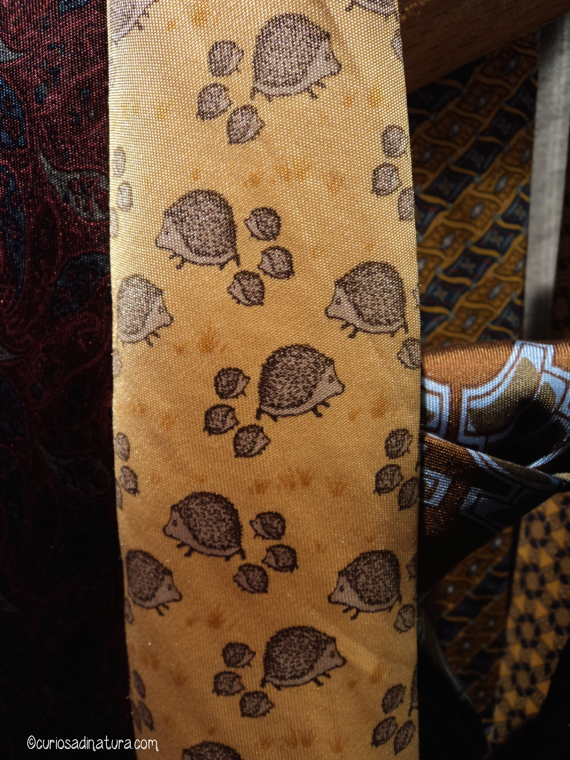 Le cravatte (anche con i ricci)