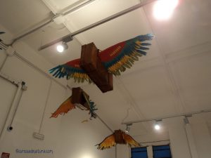 Valigie-pappagallo volanti