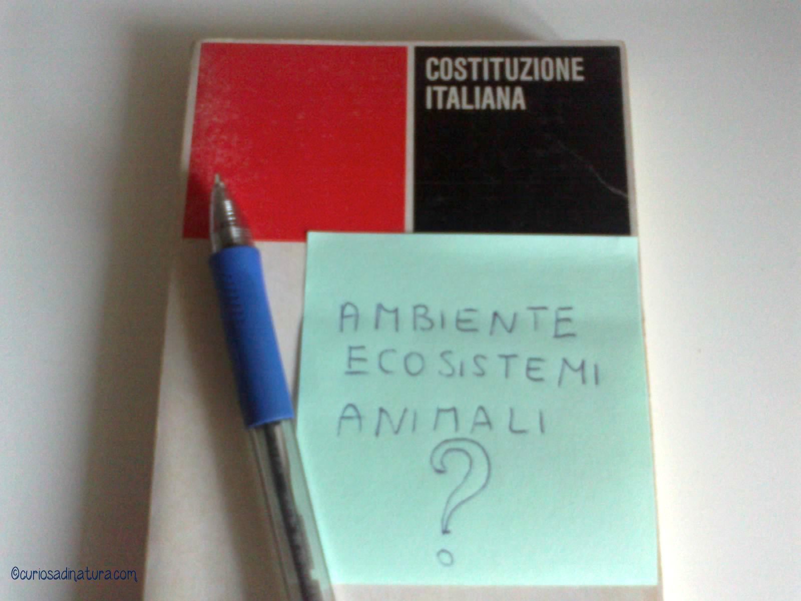 foto_animali_costituzione