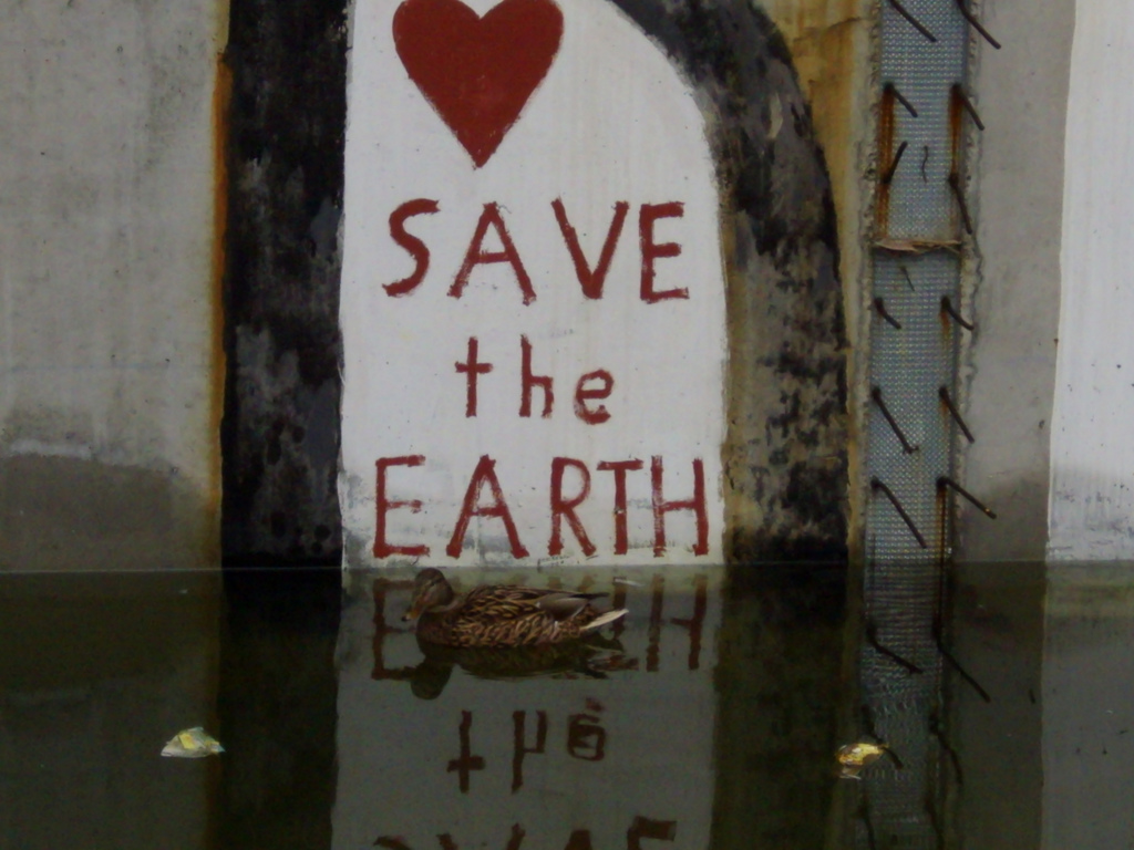 salviamo la terra