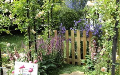 La flora italiana è un pozzo di meraviglie