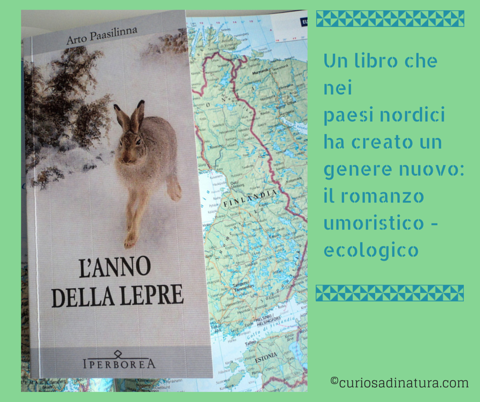 L'anno della lepre