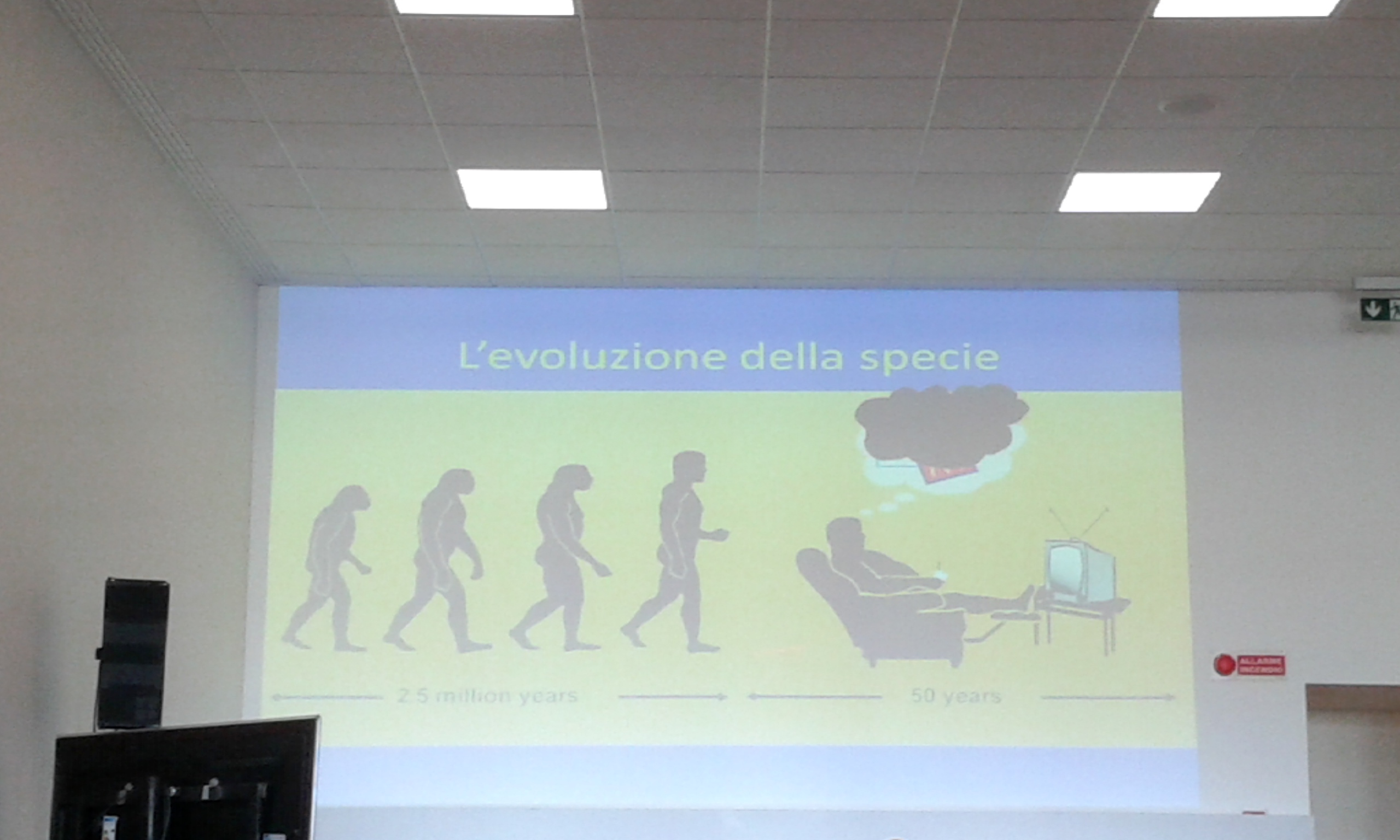 obesità