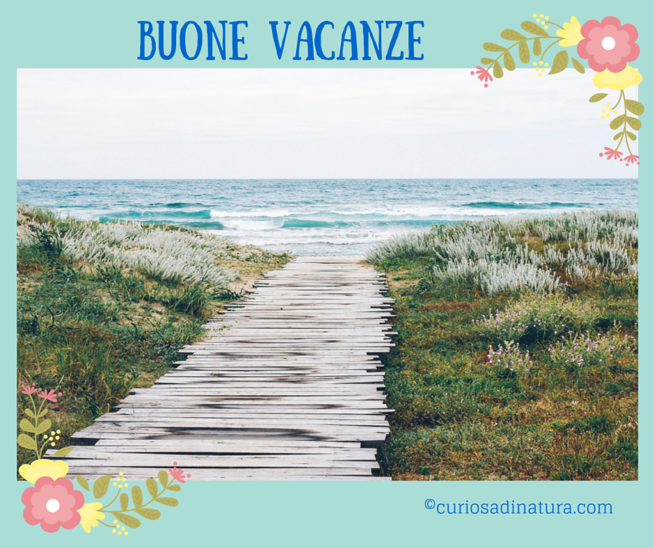 buone vacanze