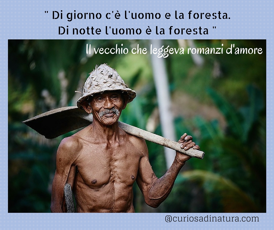il_vecchio_romanzi_amore