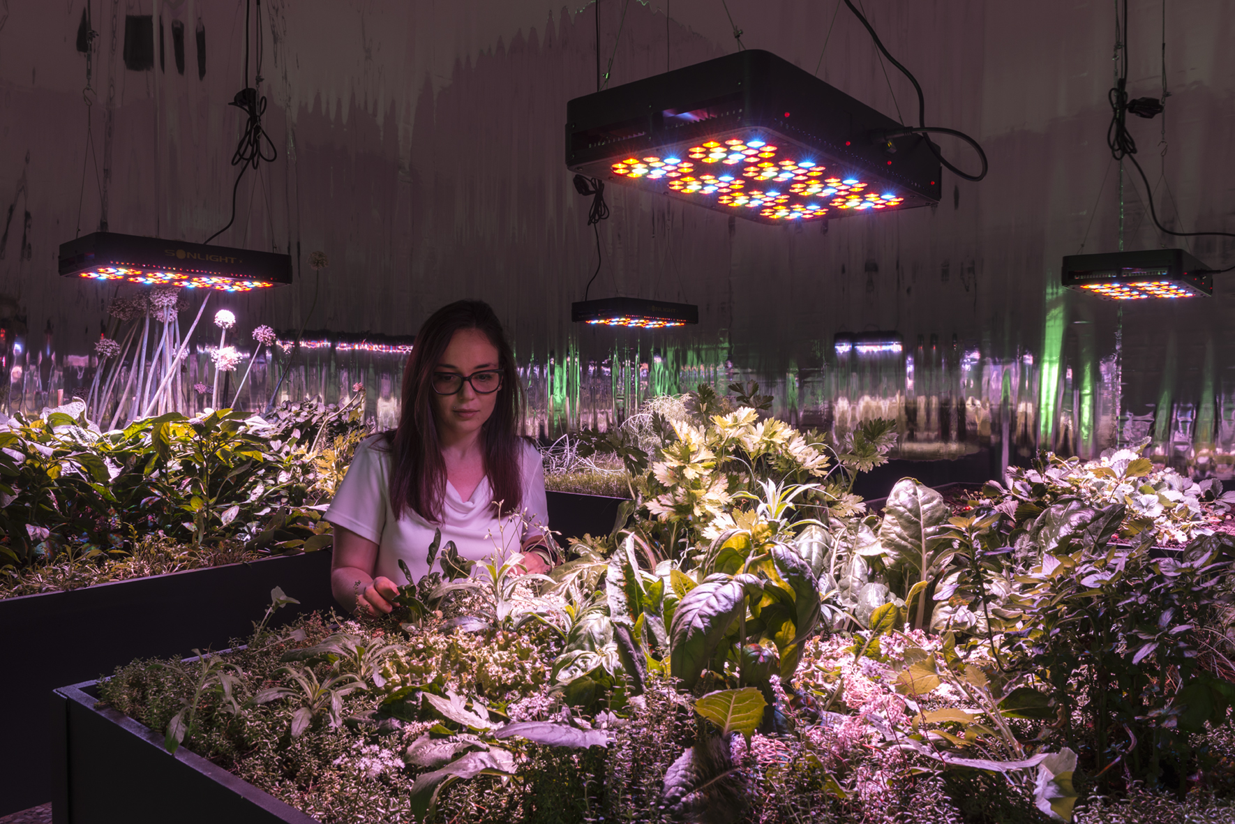 Meg Webster Solar Piece, 2015 Installazione interattiva. Pannelli solari, lampade LED da coltivazione, vasche con terra, piante. Courtesy of the artist, Paula Cooper Gallery, New York and Anne Mosseri-Marlio Galerie, Basel 