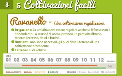 Come creare un orto in casa