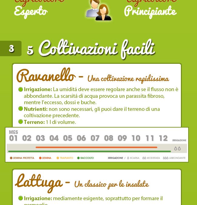 Come creare un orto in casa