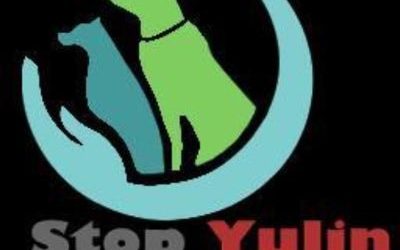Yulin 2016: a che punto siamo