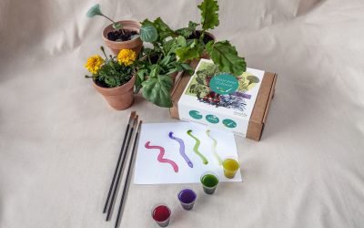 Clorofille: la natura fiorisce ovunque