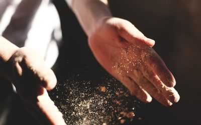 L’orto a settembre