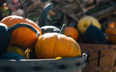 L’orto ad ottobre