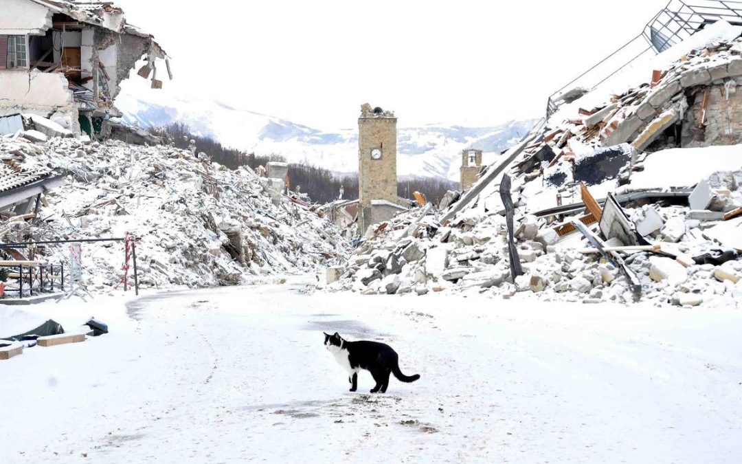 Il gelo e la neve di questi giorni