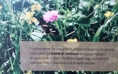 Le piante, tra seduzione e repulsione