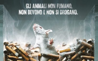 Nuove leggi e diritti animali
