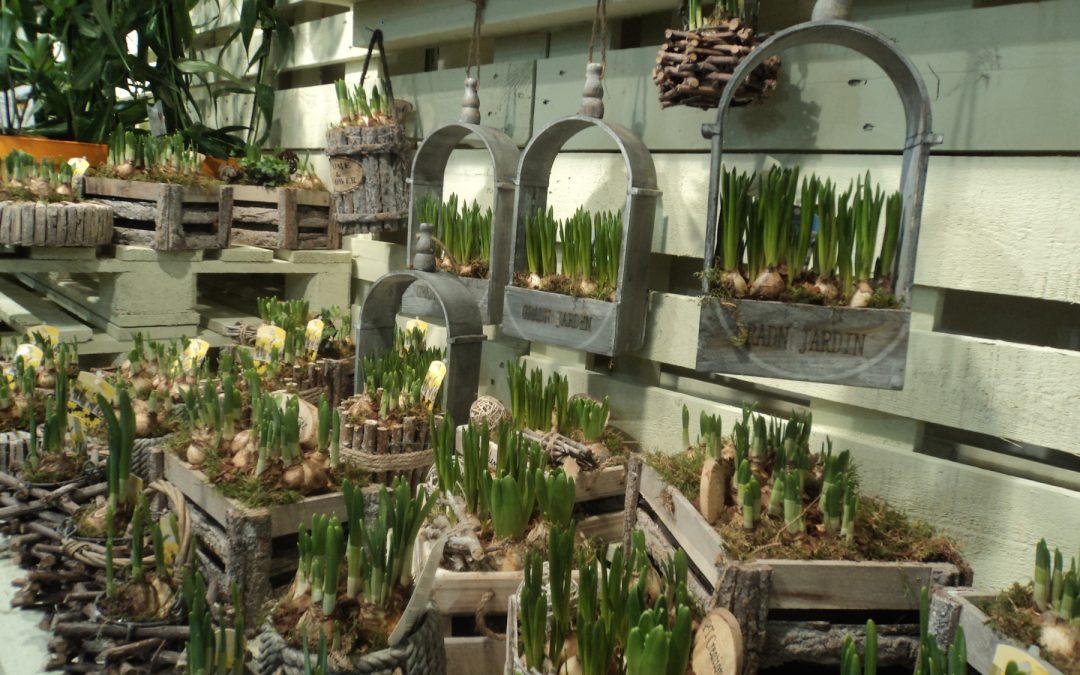 Myplant and Garden, terza edizione