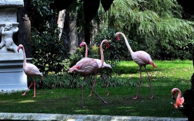Verde e giardini condivisi a Milano