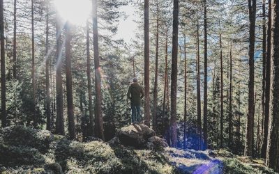Ottobre salute, consigli per uno stile di vita più sano