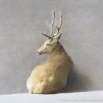 © Marzio Tamer, Grande cervo, cm 120 x 160 Courtesy Salamon&C. Milano