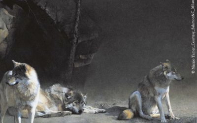 Marzio Tamer, pittore per natura