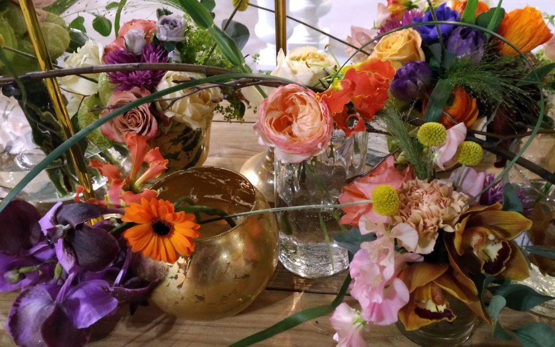 My Plant and Garden 2018