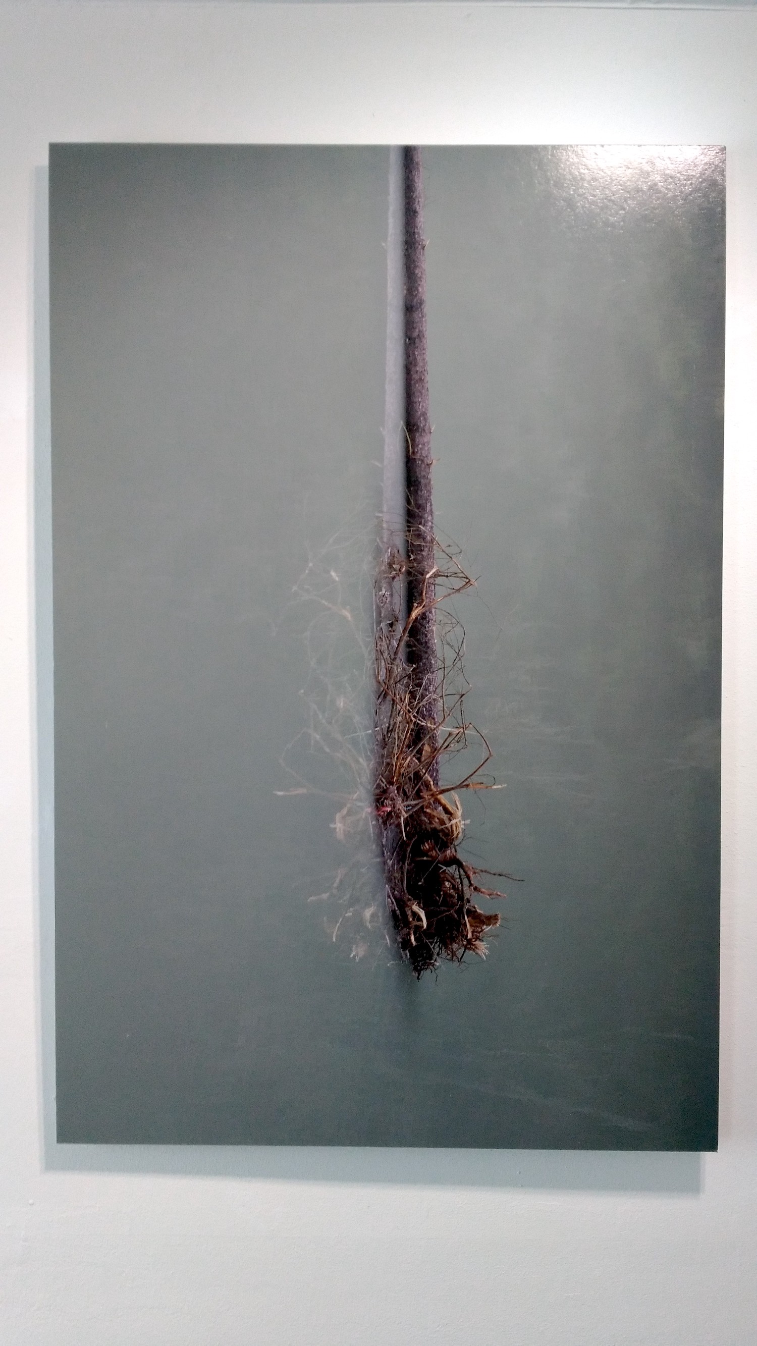 We Are Here, Roberta Segata