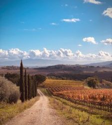 Giornata Nazionale degli Alberi: 5 consigli per fotografarli