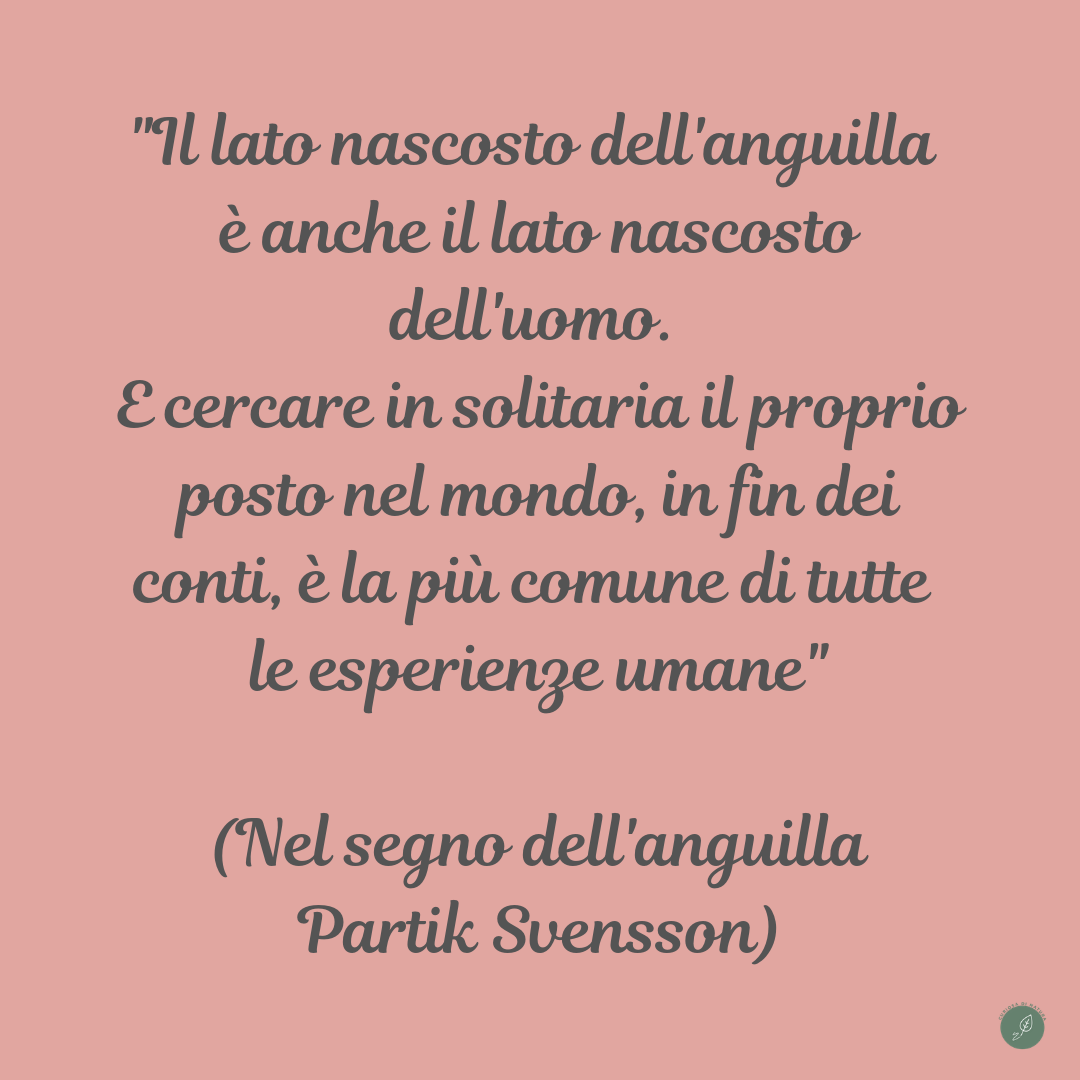 Nel segno dell'anguilla, libro di Patrik Svensson