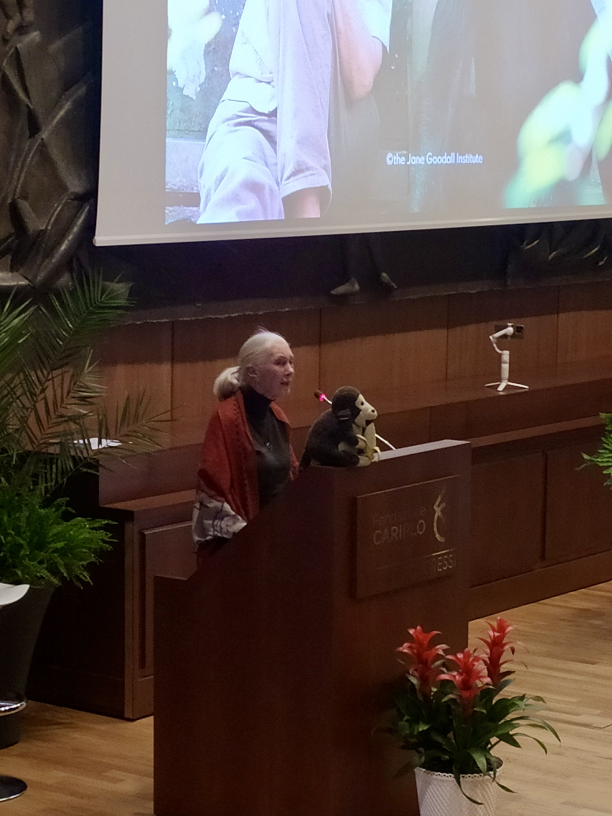 Jane Goodall a Milano