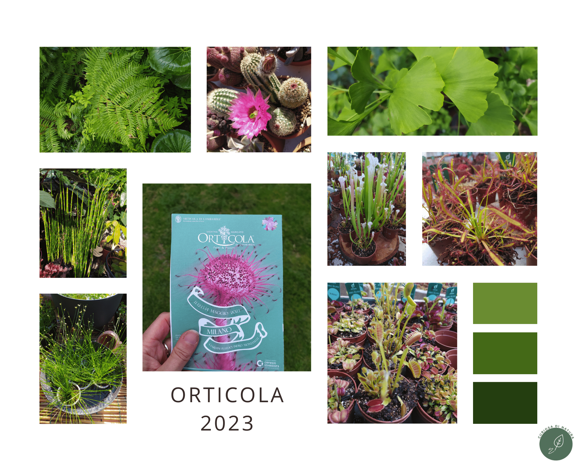 Orticola 2023, l'intelligenza dei fiori e delle piante