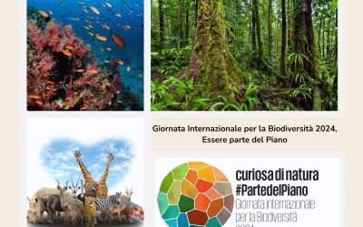 Giornata Internazionale per la Biodiversità 2024, Essere parte del Piano