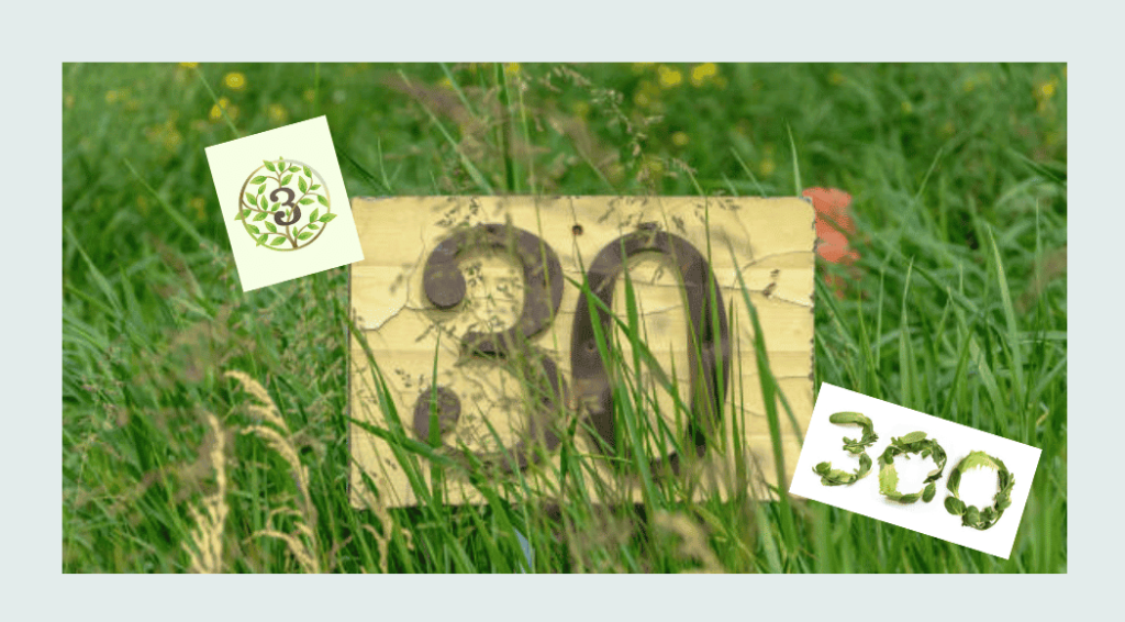 La regola del 3-30-300 o Regola del verde urbano