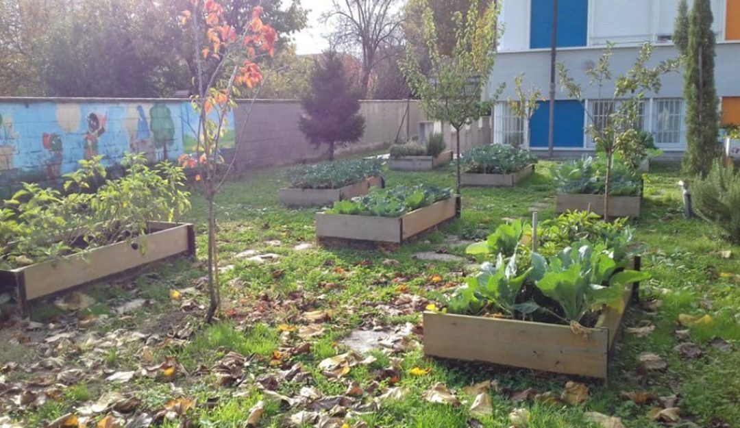 Giardini terapeutici e sociali, tre esempi