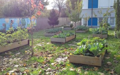 Giardini terapeutici e sociali, tre esempi