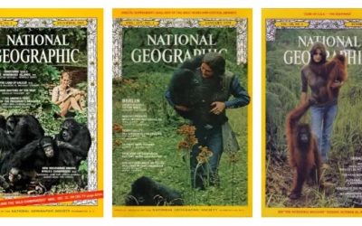 Si chiude l’era delle “Trimates”