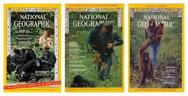 Tre copertine della rivista National Geographic che ritraggono le tre scienziate (foto trovata nel web)