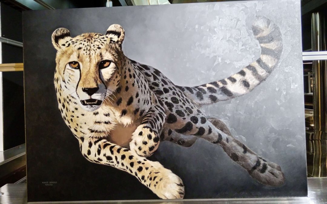 Wild by Design, dove natura e design si incontrano