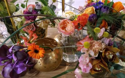 My Plant and Garden 2018