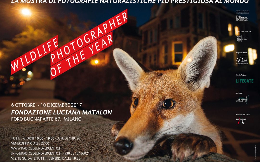 Wildlife Photographer of the Year 2017